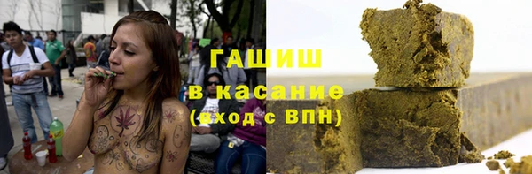 индика Армянск