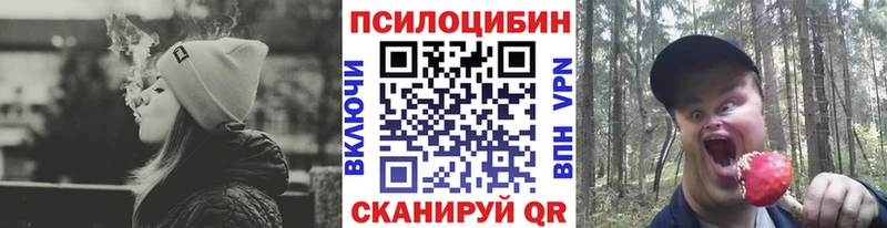 Галлюциногенные грибы Cubensis  Пушкино 