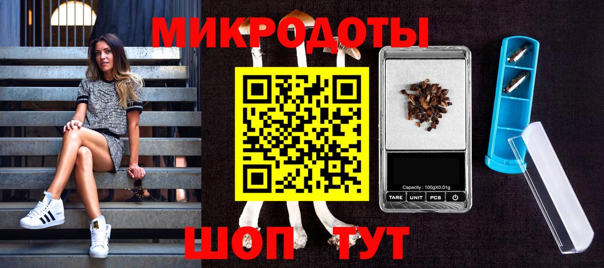 Галлюциногенные грибы Magic Shrooms  Вход с VPN  Псилоцибиновые грибы Psilocybe  Пушкино 