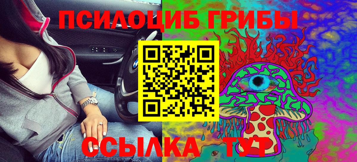 Галлюциногенные грибы Psilocybe Пушкино